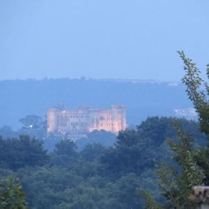 Meet your Posher, Petra